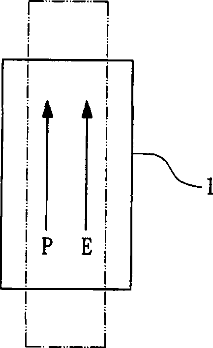 Piezoelectric clamping device