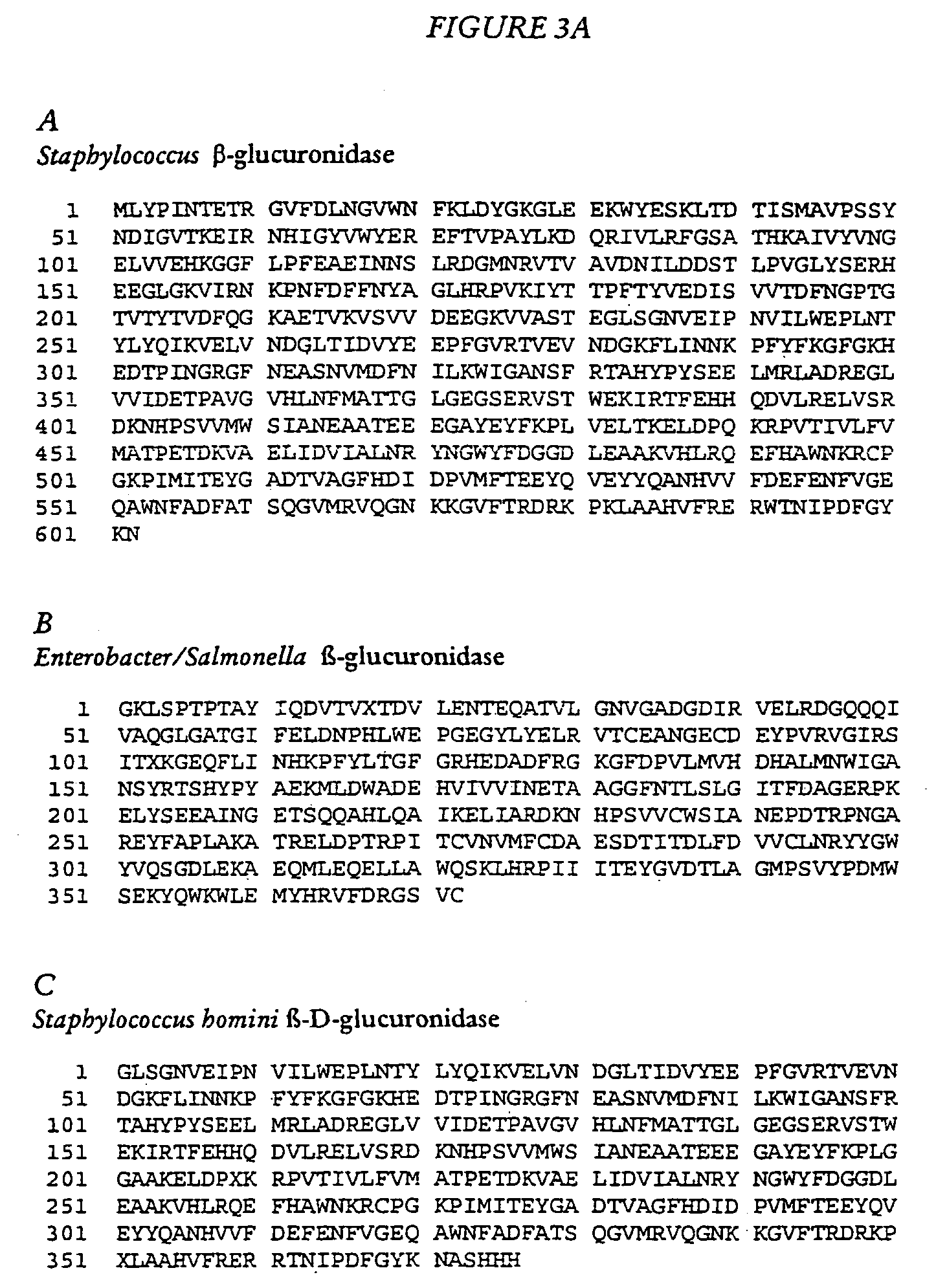 Microbial beta-glucuronidase genes, gene products and uses thereof