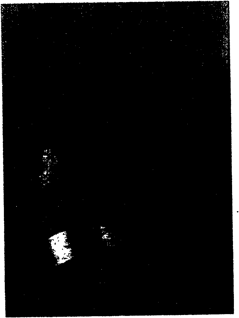 Method for fabricating block body of nano pure nickel material