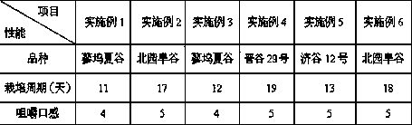 A kind of cultivation method of grain sprouts