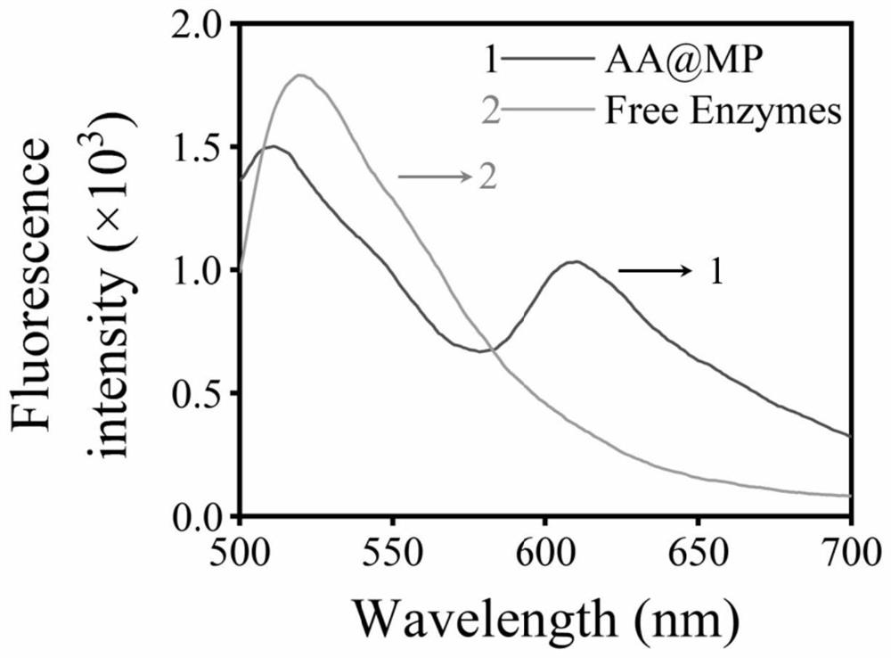 Preparation of bionic MOF (Metal Organic Framework) nanocapsule capable of rapidly degrading ethanol and application of bionic MOF nanocapsule in treatment of alcoholism