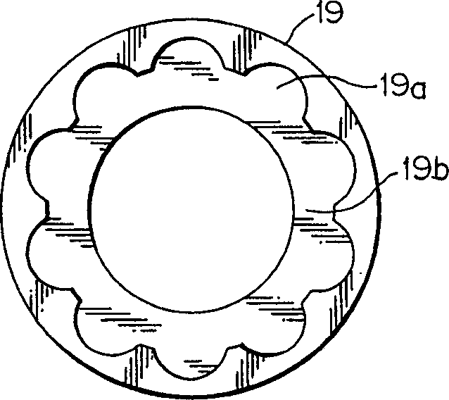 Roller bearing and roller chain mounted with roller bearing