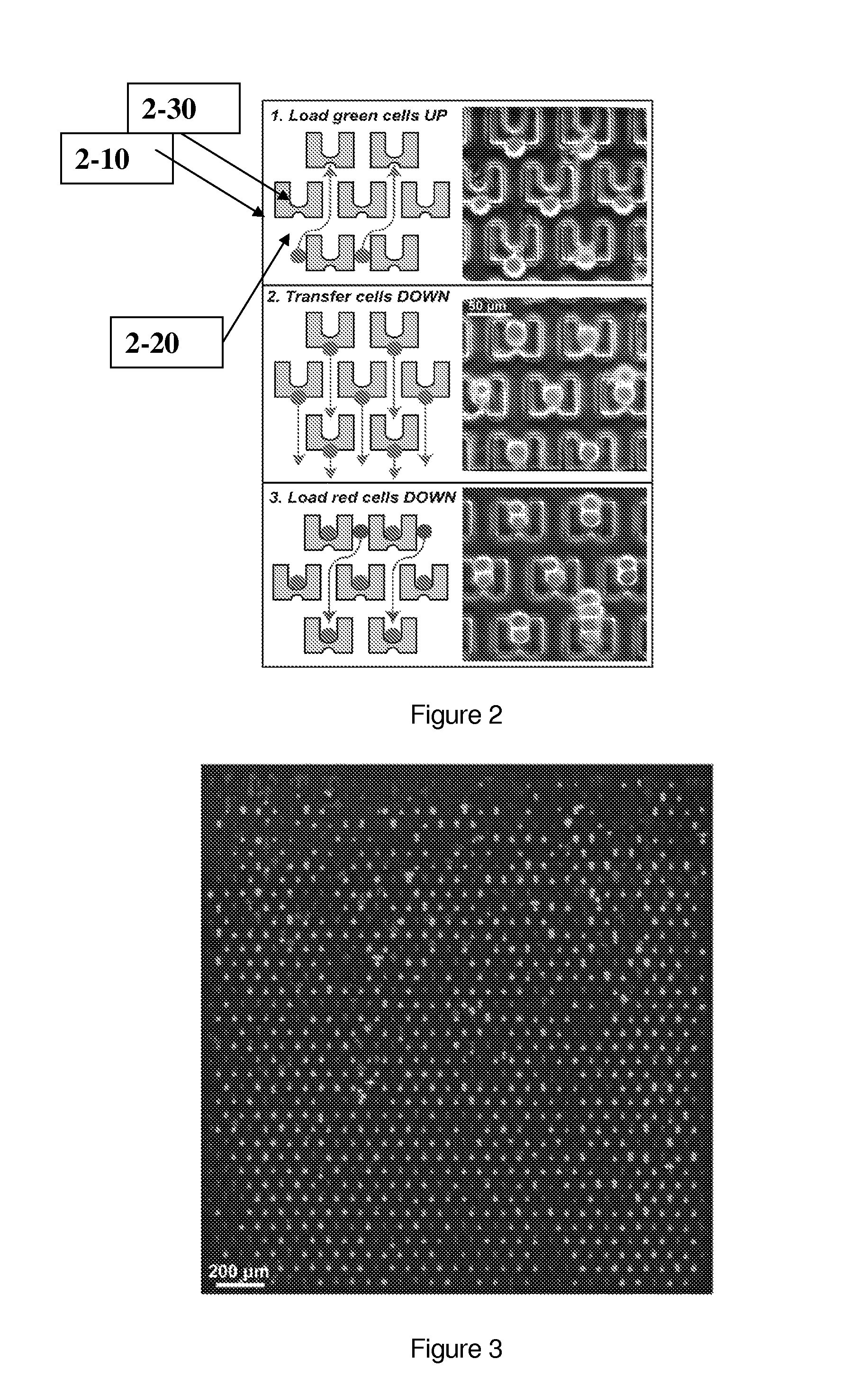 Particle capture devices and methods of use thereof