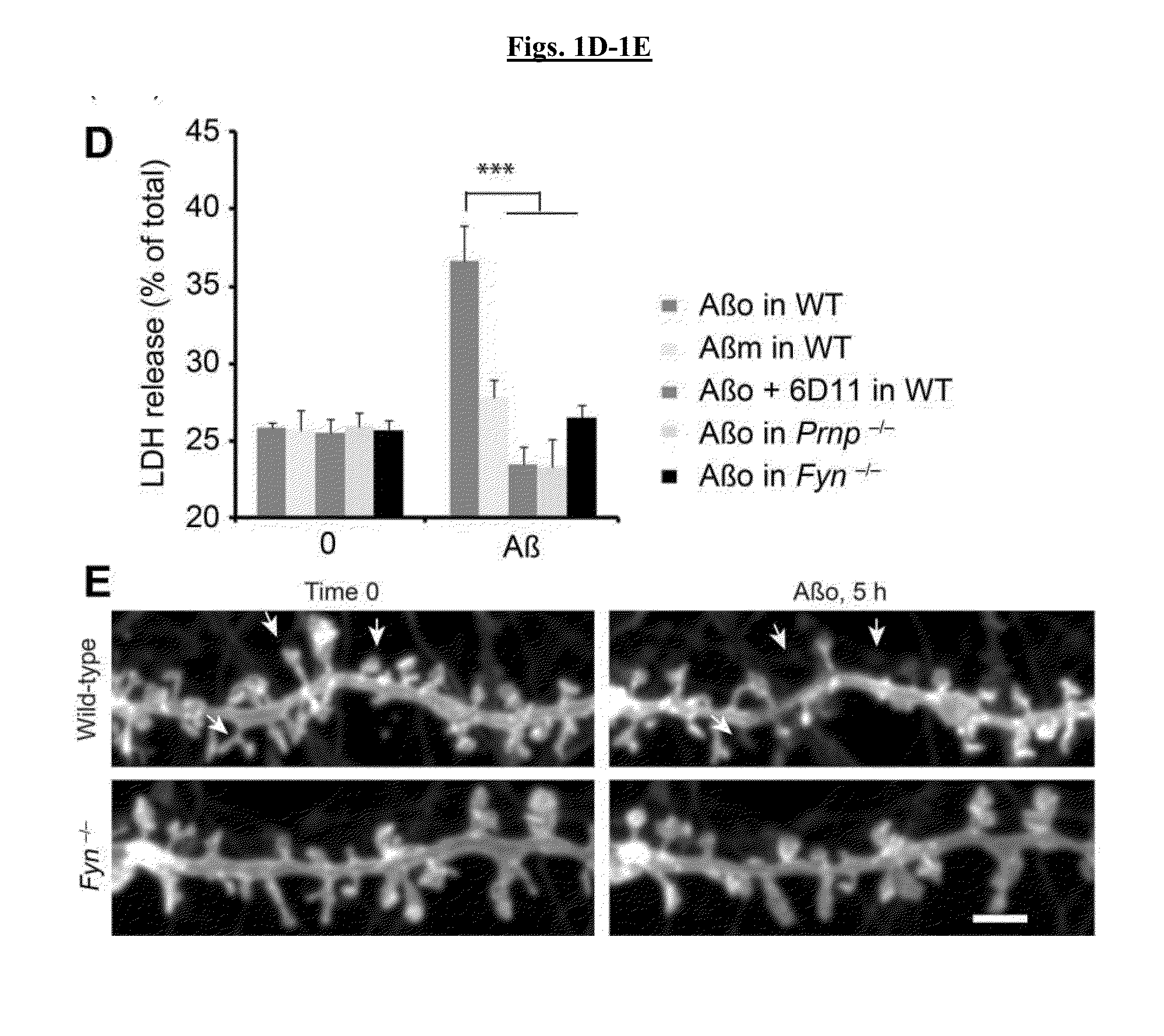 Compositions and methods for treating a -modulated disease or disorder or improving cognition in a subject