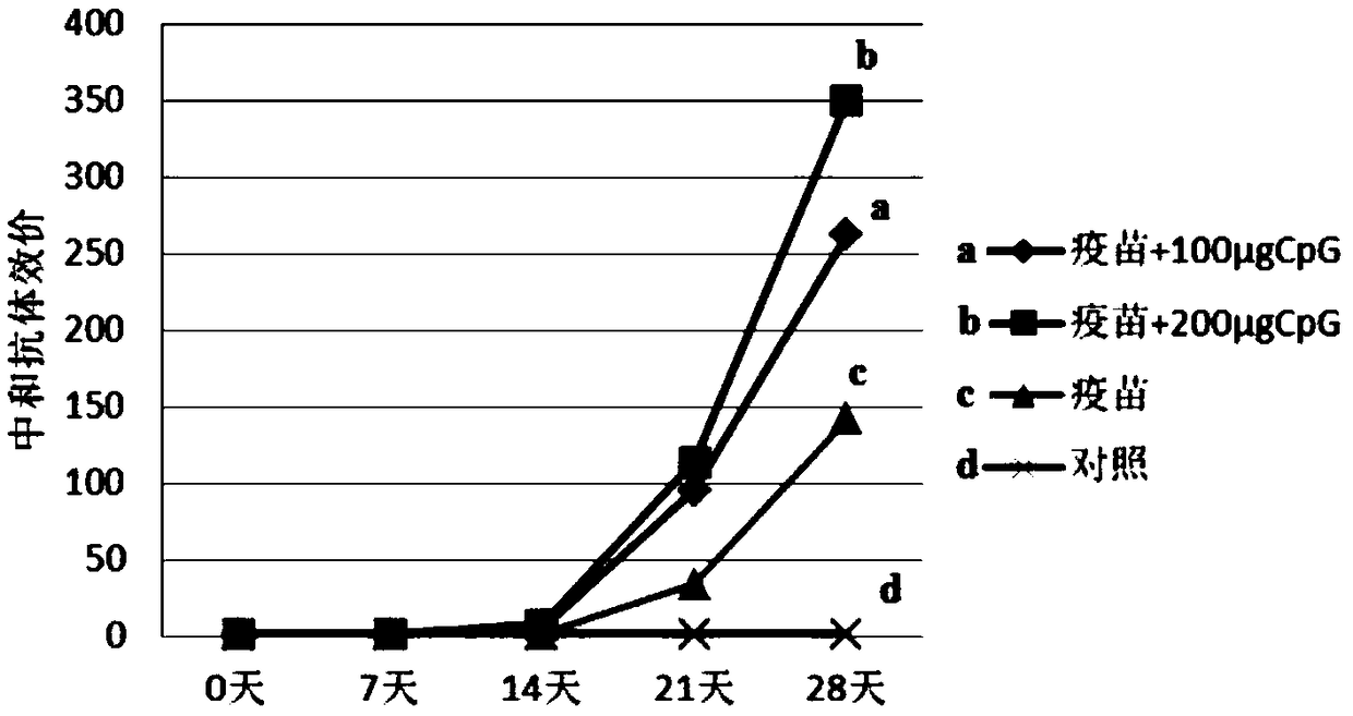 Sika deer specific CpG oligodeoxynucleotide and application thereof