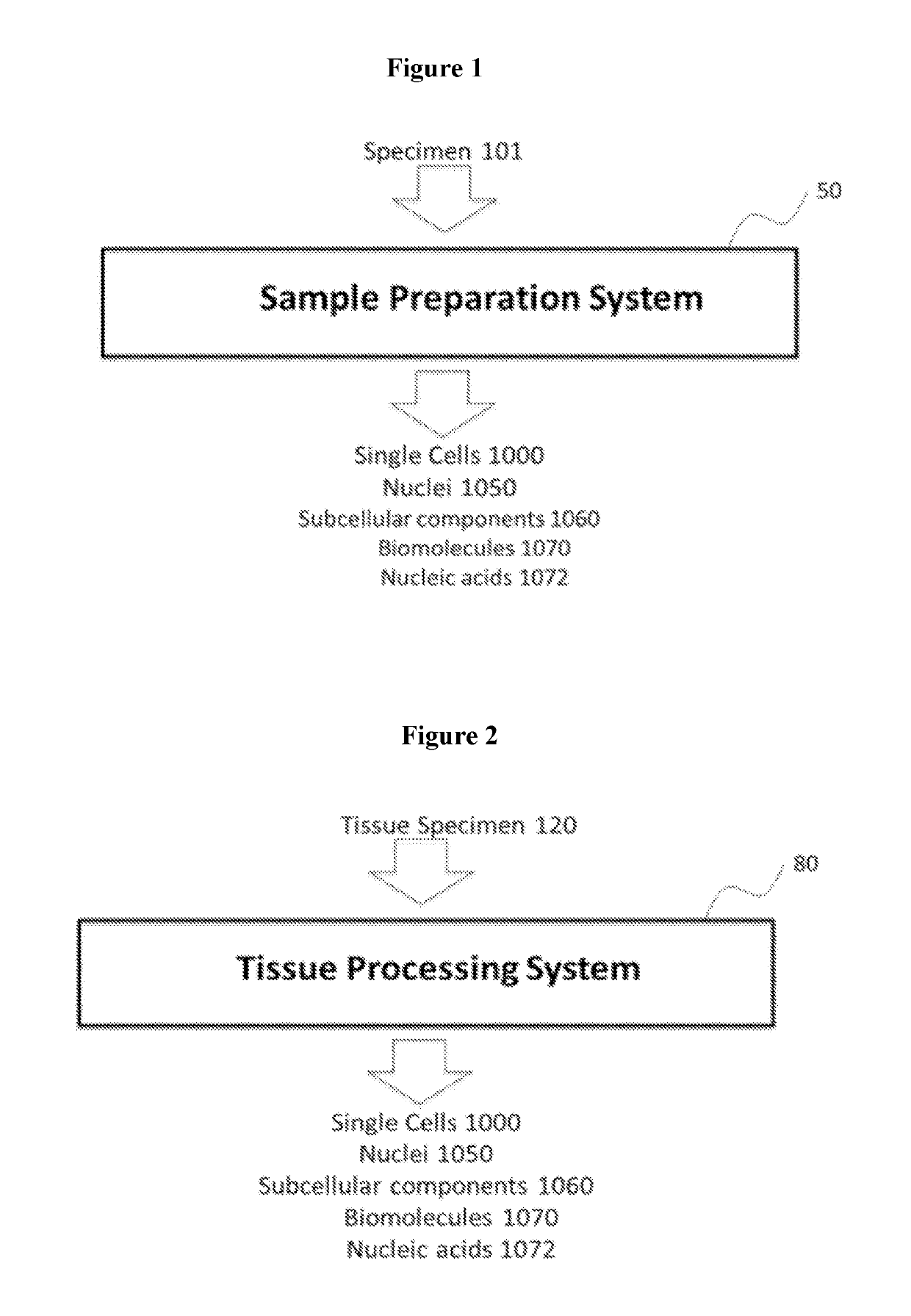 Method and apparatus for processing tissue samples