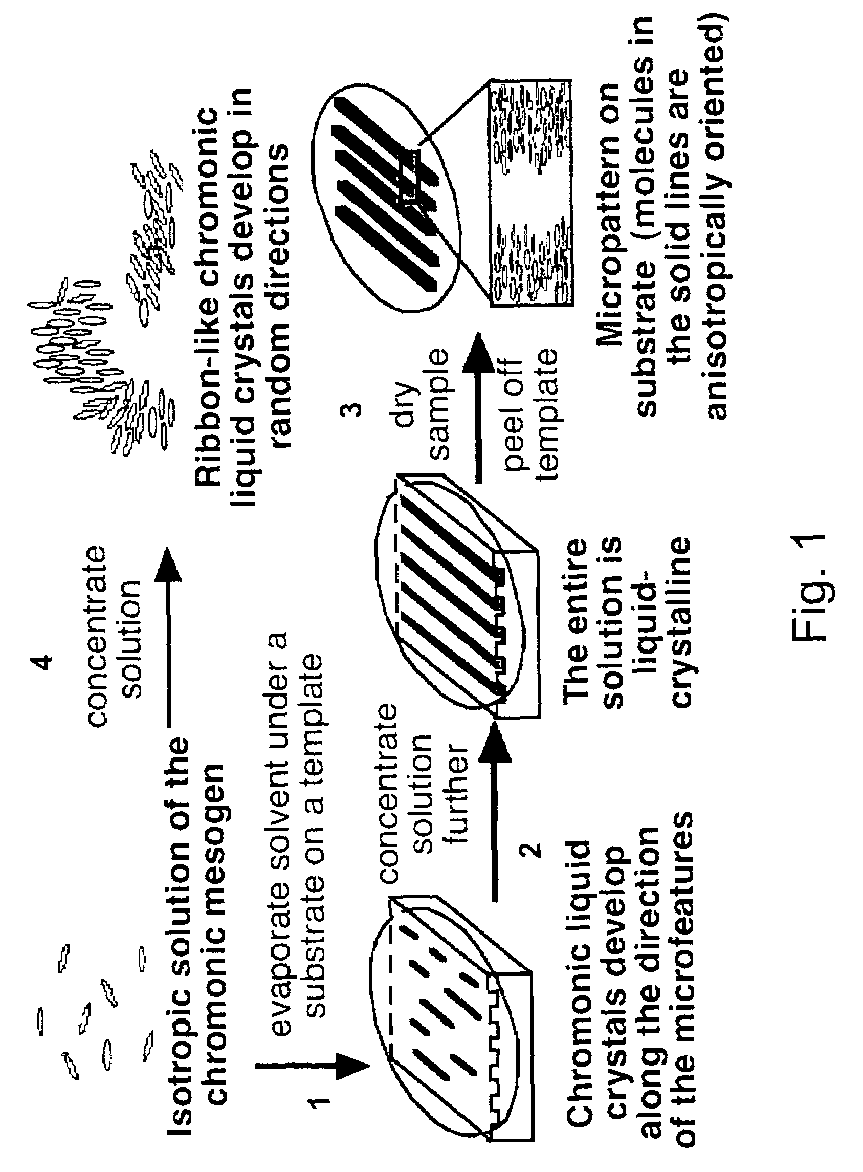 Materials and methods for the preparation of anisotropically-ordered solids