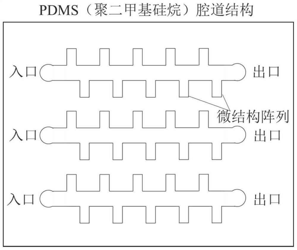 Acoustic micro-fluidic system for cell fusion as well as preparation method and application of acoustic micro-fluidic system