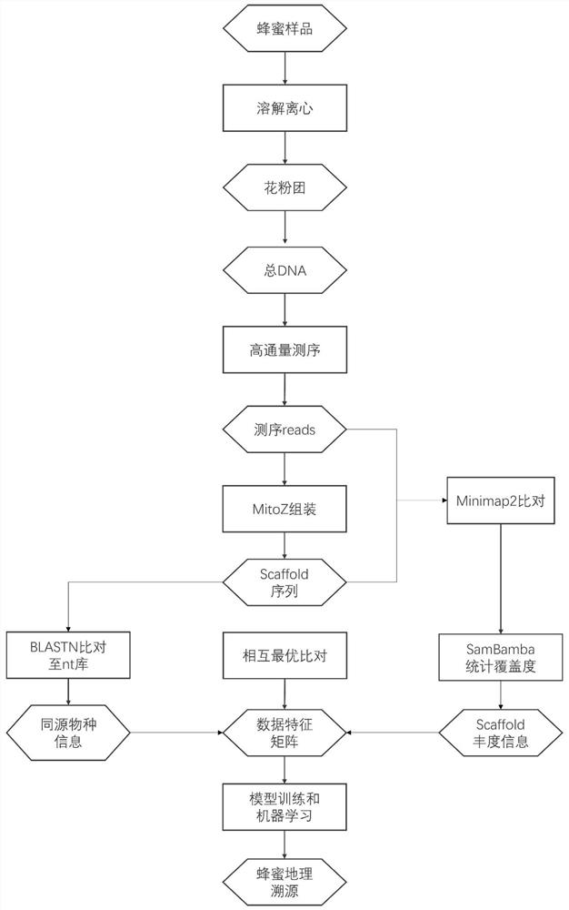 Method for tracking honey source of honey by utilizing metagenome and machine learning