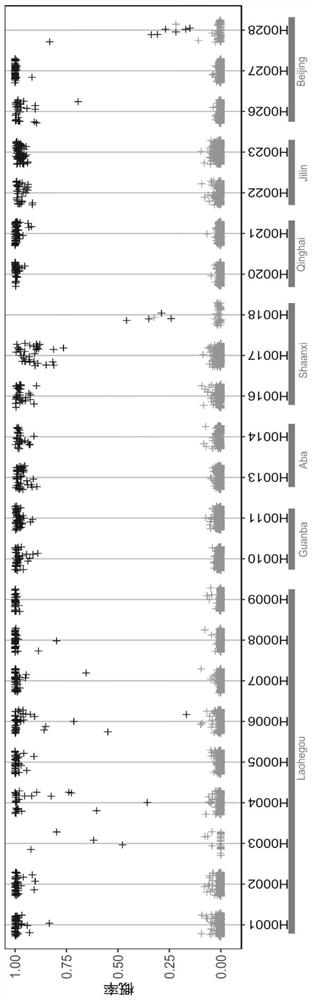 Method for tracking honey source of honey by utilizing metagenome and machine learning