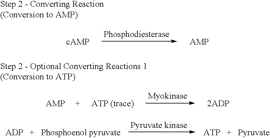 Enzymatic fluorimetric assay of camp and adenylate cyclase