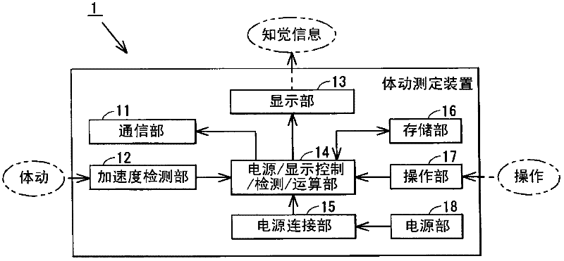 Body-movement balance detecting device, body-movement balance detecting program, body-movement balance detecting method, and method for diagnosing body-movement balance