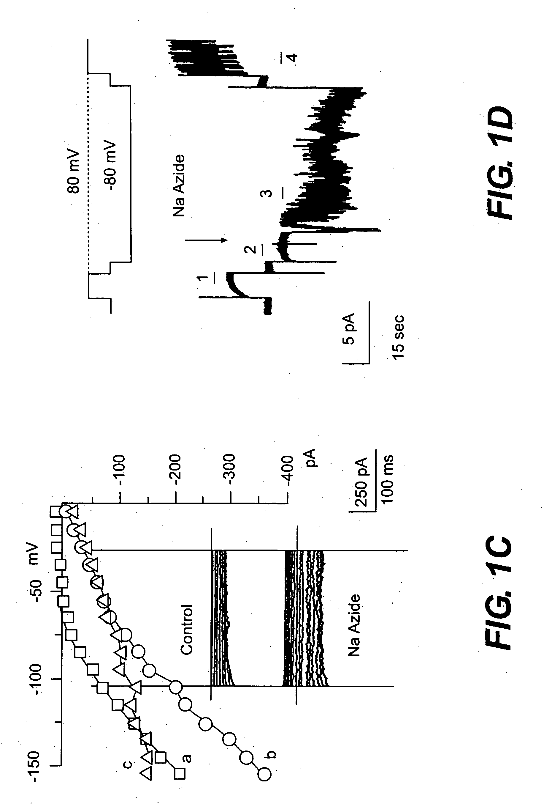 Novel non-selective cation channel in neuronal cells and methods for treating brain swelling