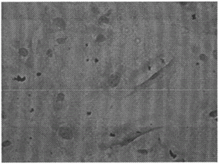 Mesenchymal stem cell differentiation induction liquid and method for inducing mesenchymal stem cell to adipose cells