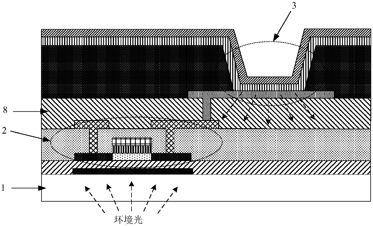 Display substrate and preparation method therefor and display panel