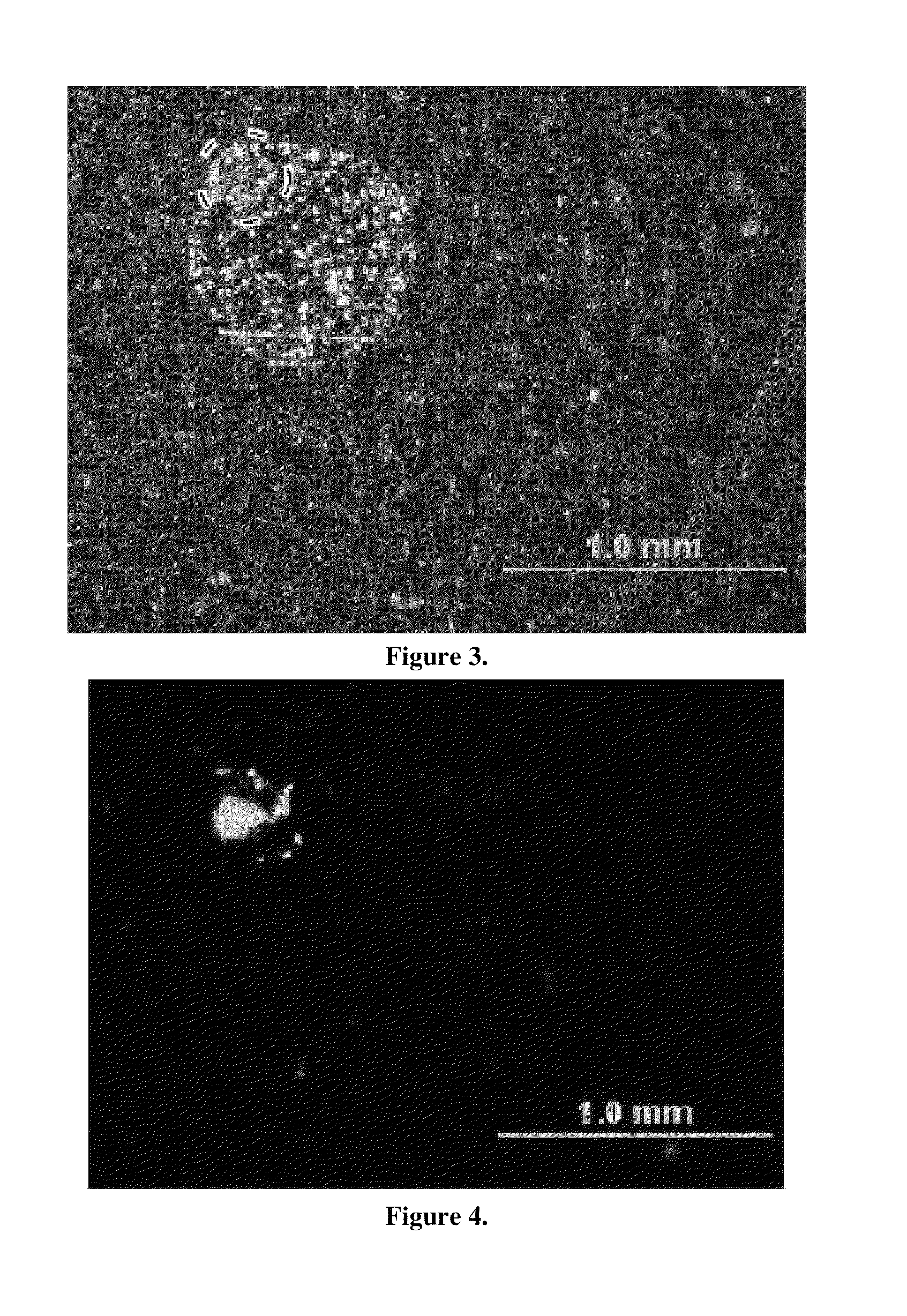 Carbon nanotube anchor for mass spectrometer