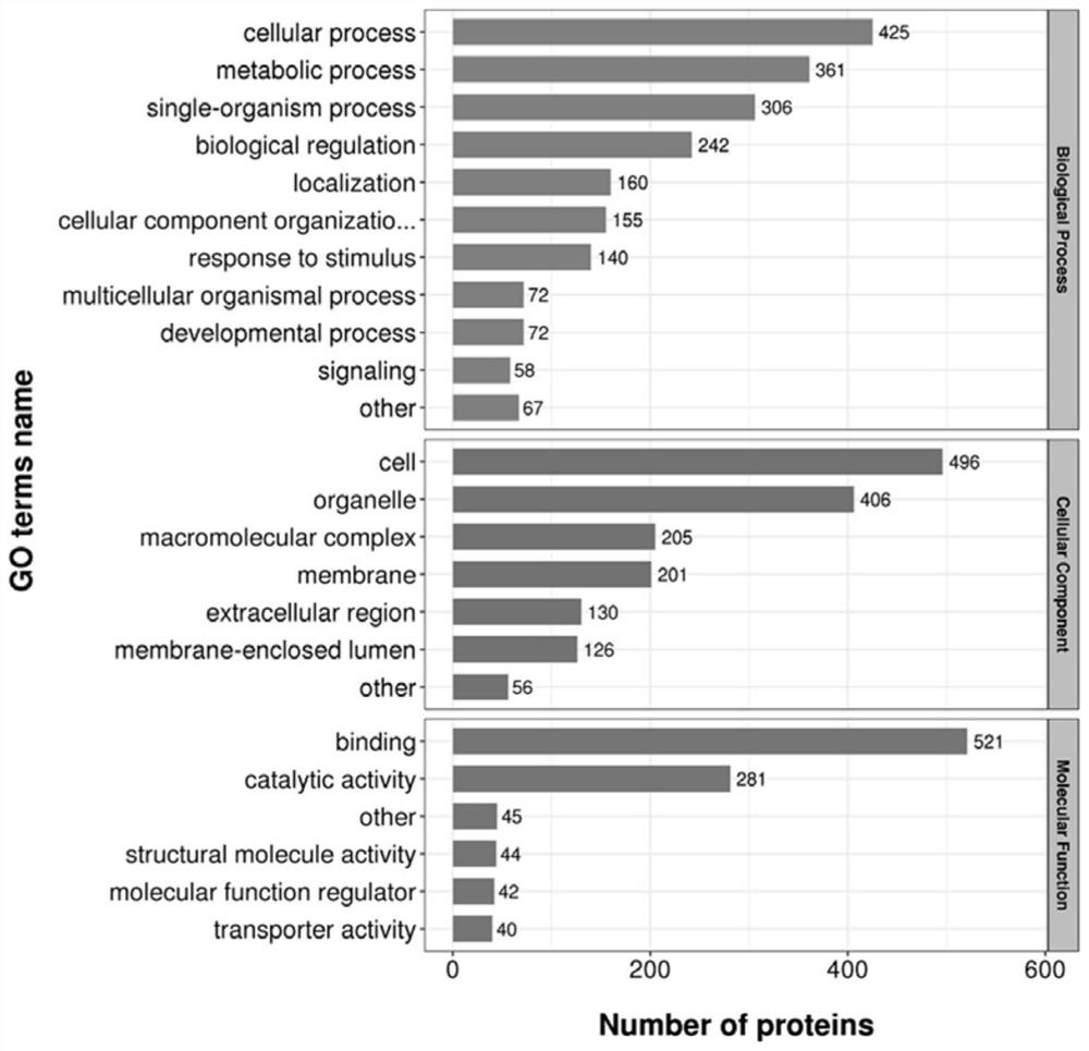 Method for searching differential expression proteins among different cells or tissues of Rugao yellow chicken based on non-standard quantitative proteomics technology