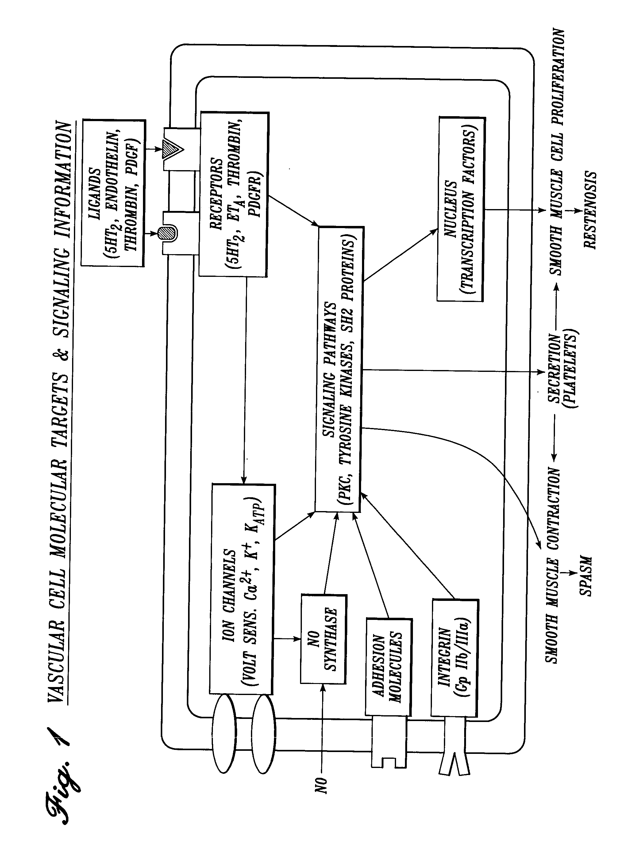 Vascular irrigation solution and method for inhibition of pain, inflammation, spasm and restenosis