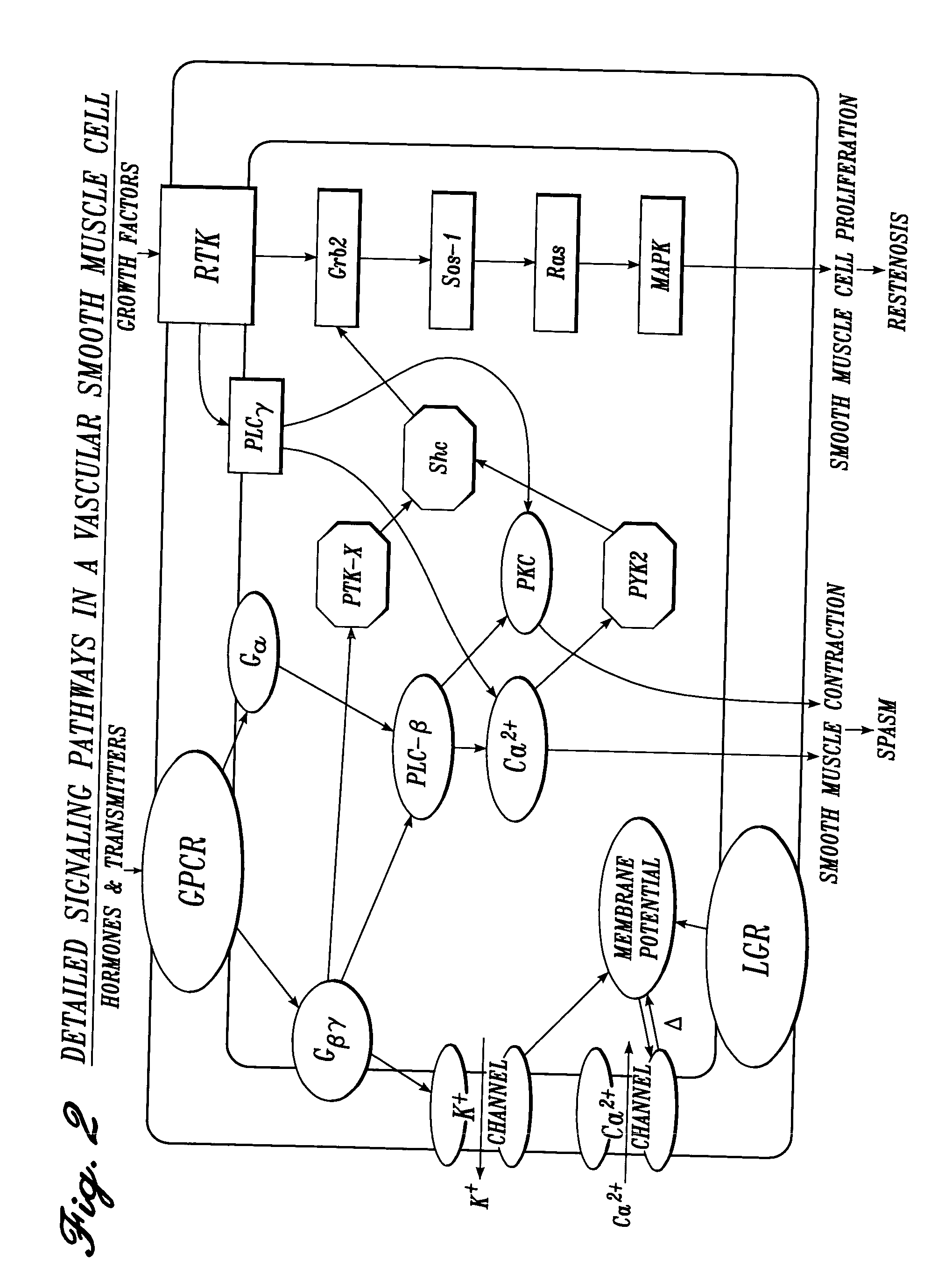 Vascular irrigation solution and method for inhibition of pain, inflammation, spasm and restenosis