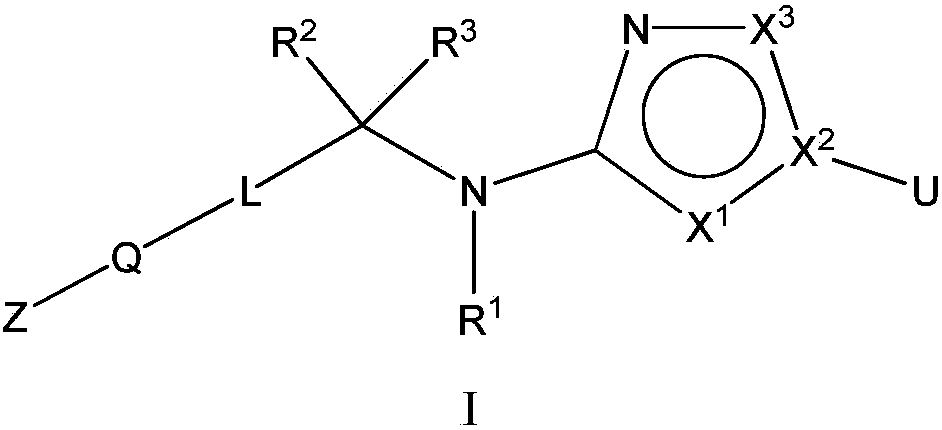 Amino-five-membered heterocyclic compound with Wnt signal channel inhibitory activity and application thereof