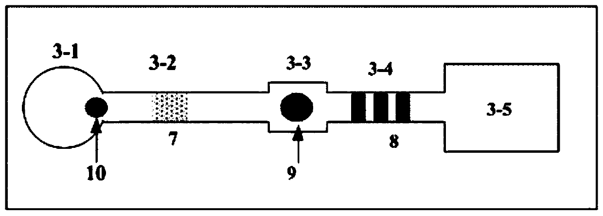 Optical Microfluidic Chip Based on Polymer and Multilayer Metal Nanoparticle Modification