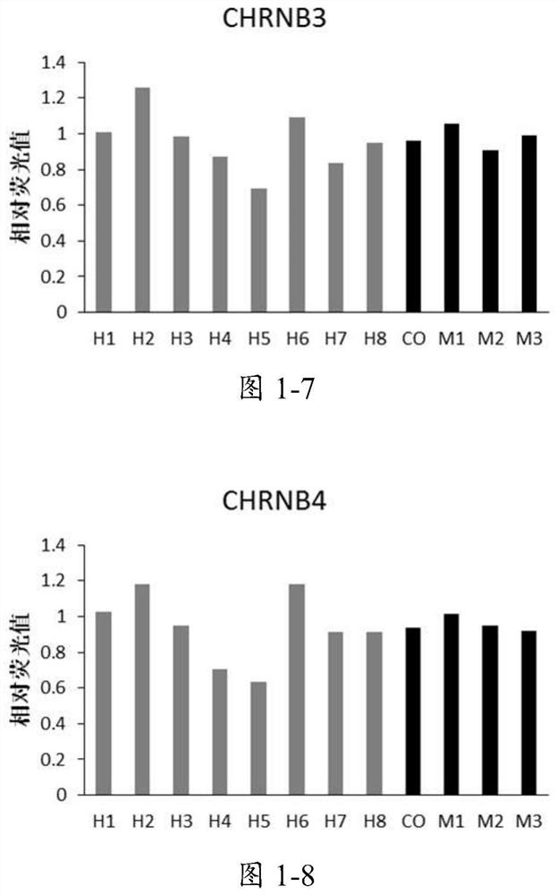Packaged high-flux measurement method for expression change of gene and corresponding protein in hippocampus during nicotine addiction, withdrawal and addiction reconstruction stage