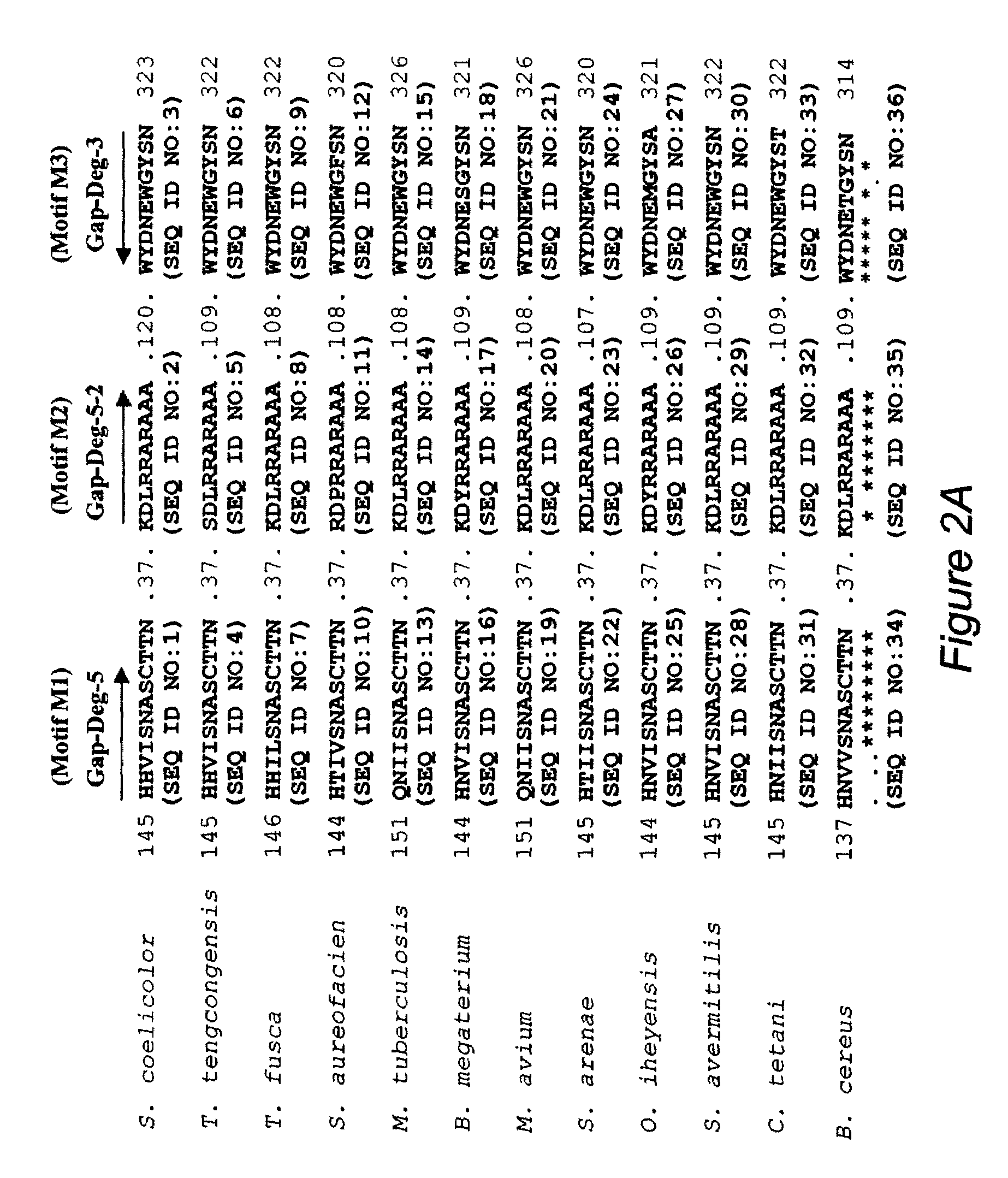 Production of clavulanic acid by genetic engineering of Streptomyces clavuligerus