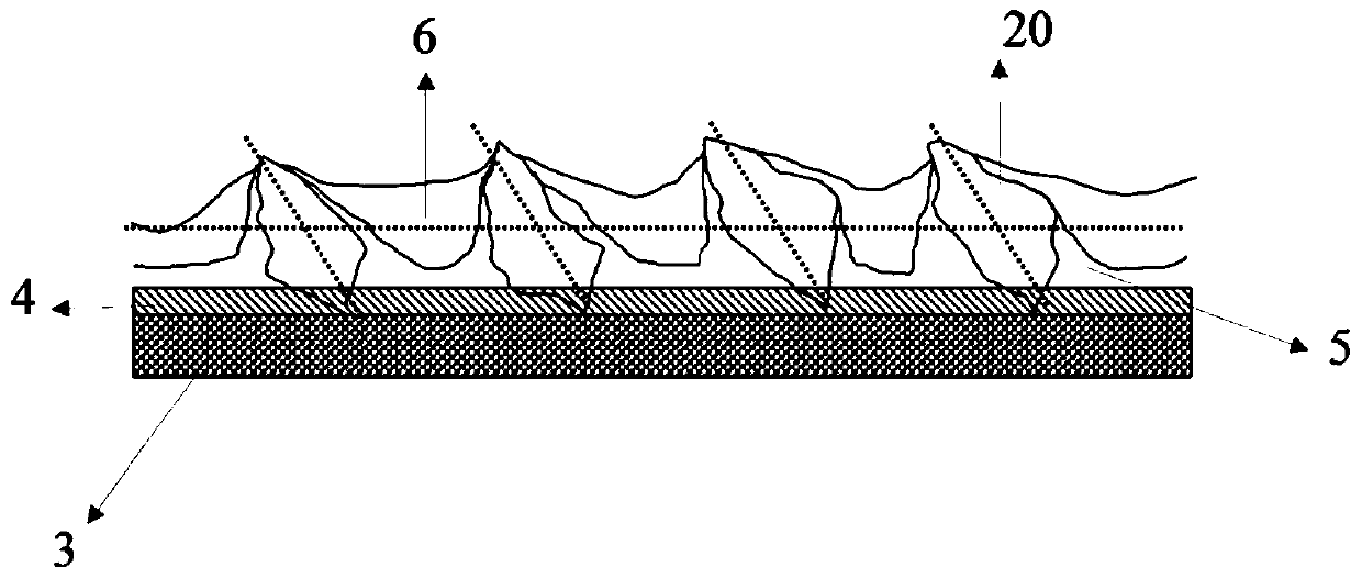 Coated abrasive tool and preparation method and application method thereof