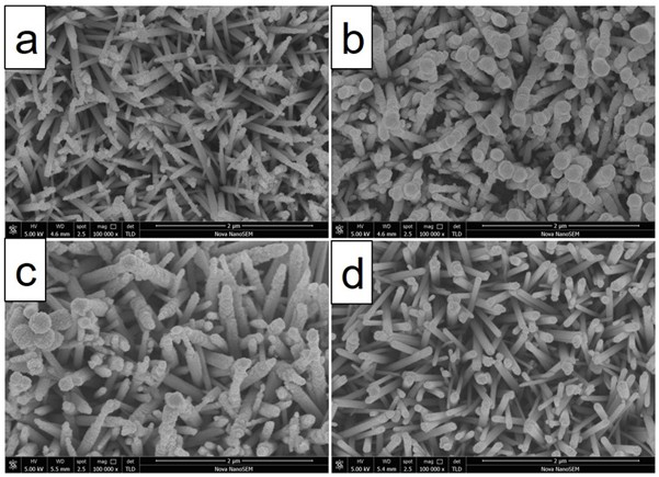 A kind of grass-shaped zinc oxide photocatalytic film coated with nano-silver and its preparation method