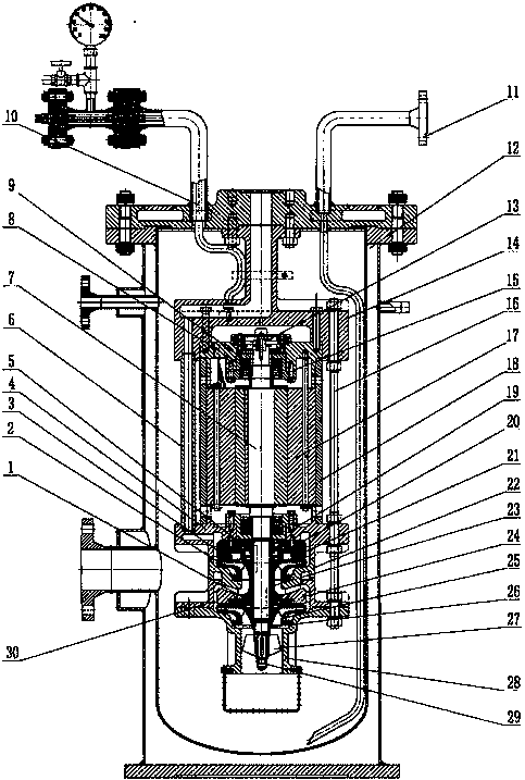 Vertical multistage vacuum low-temperature immersed pump