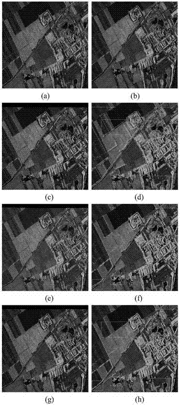 Non-rigid SAR image registration method based on region similarity and local spatial constraint