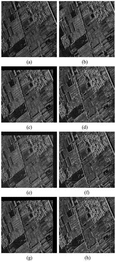 Non-rigid SAR image registration method based on region similarity and local spatial constraint
