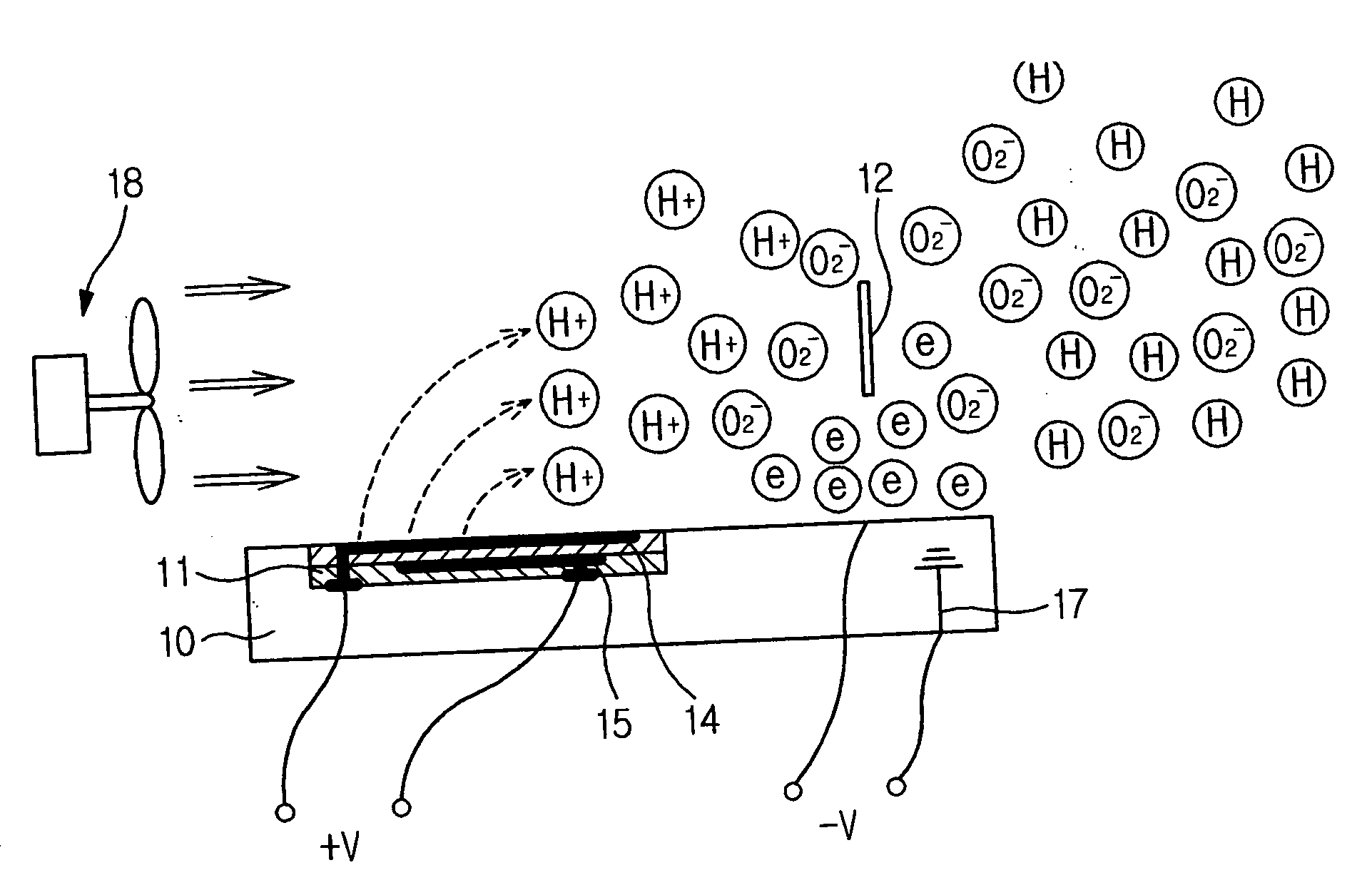 Sterilizing apparatus and ion generating apparatus