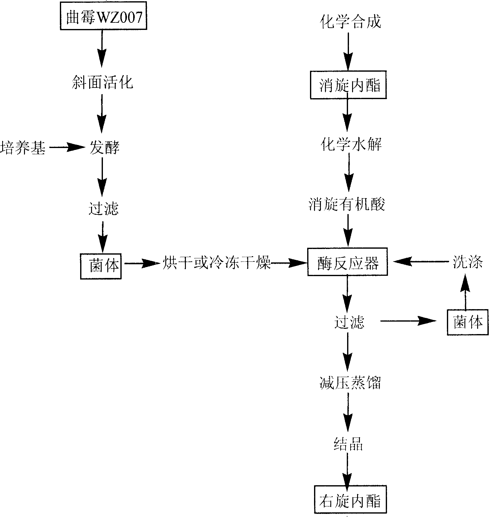 Method for preparing dextral biotin intermediate lactone