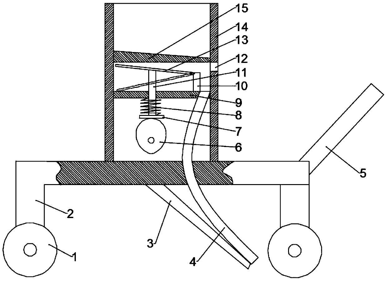 Method for interplanting konjak under walnut forest