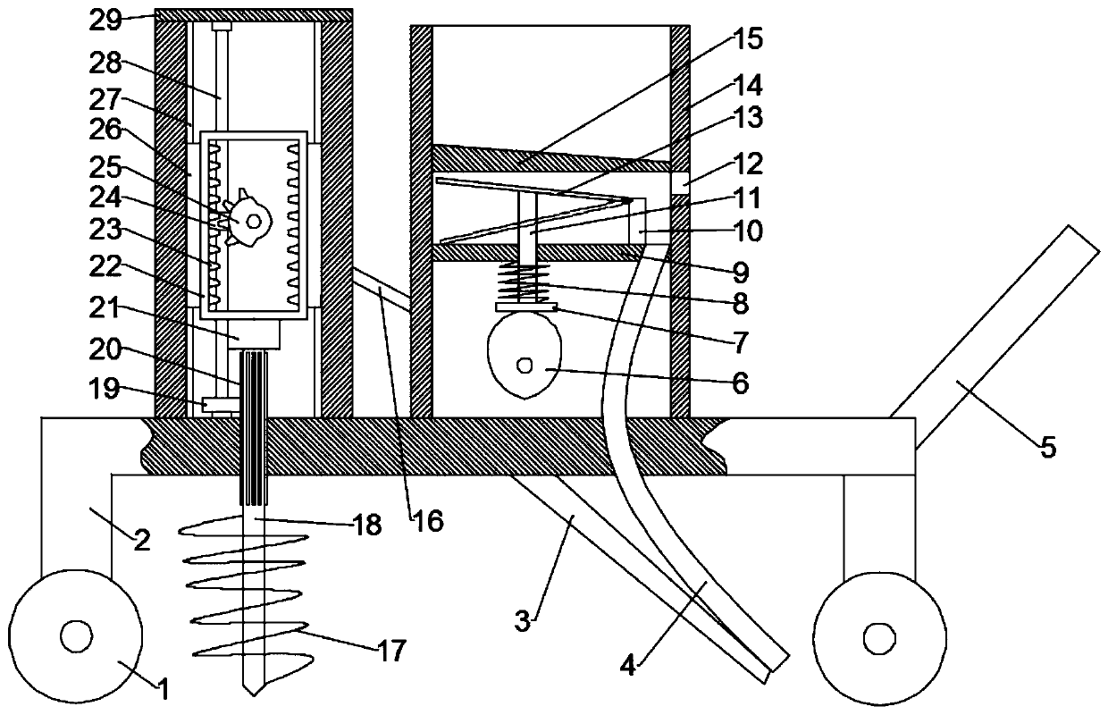 Method for interplanting konjak under walnut forest