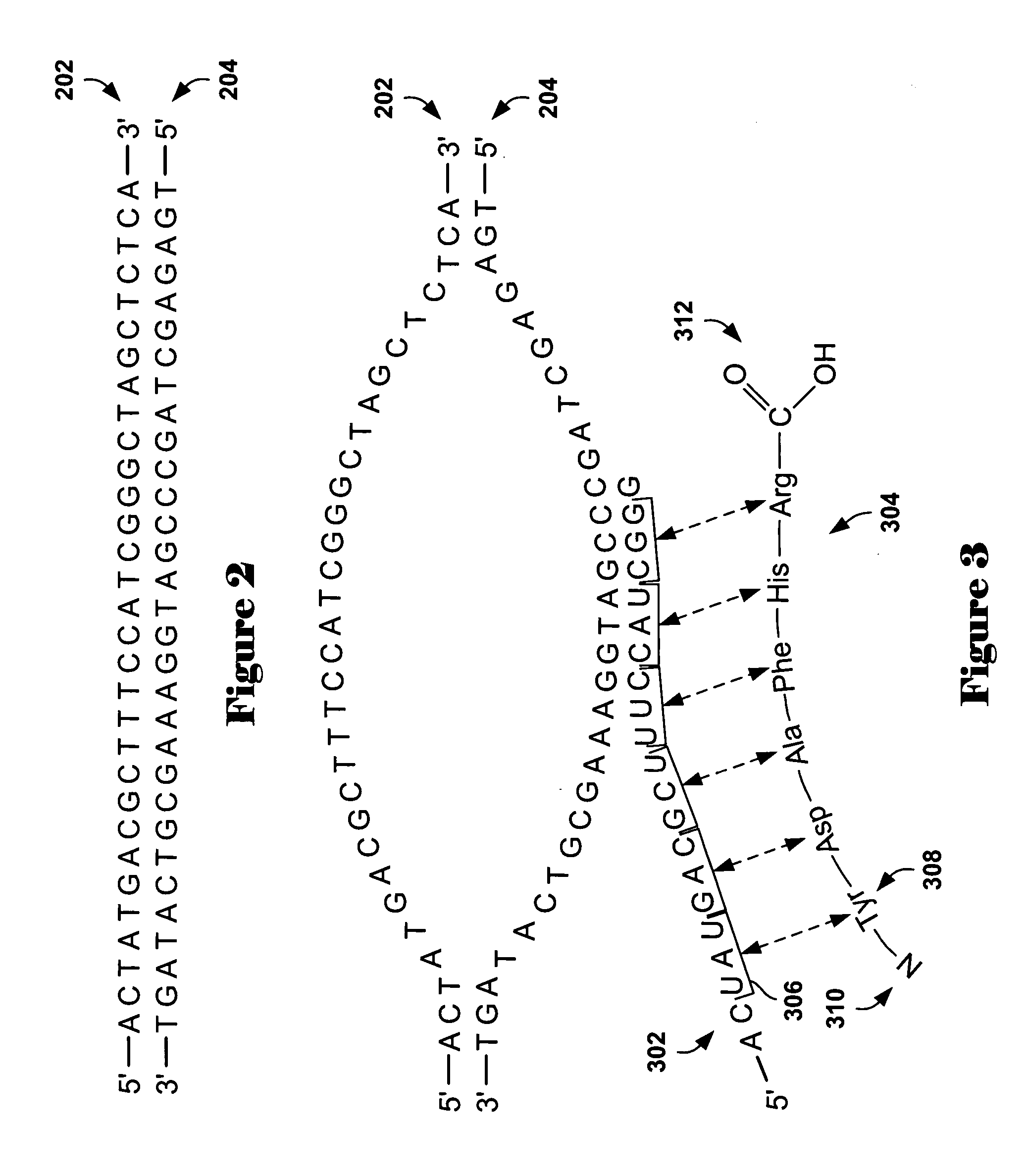 Method and system for analysis of array-based, comparative-hybridization data