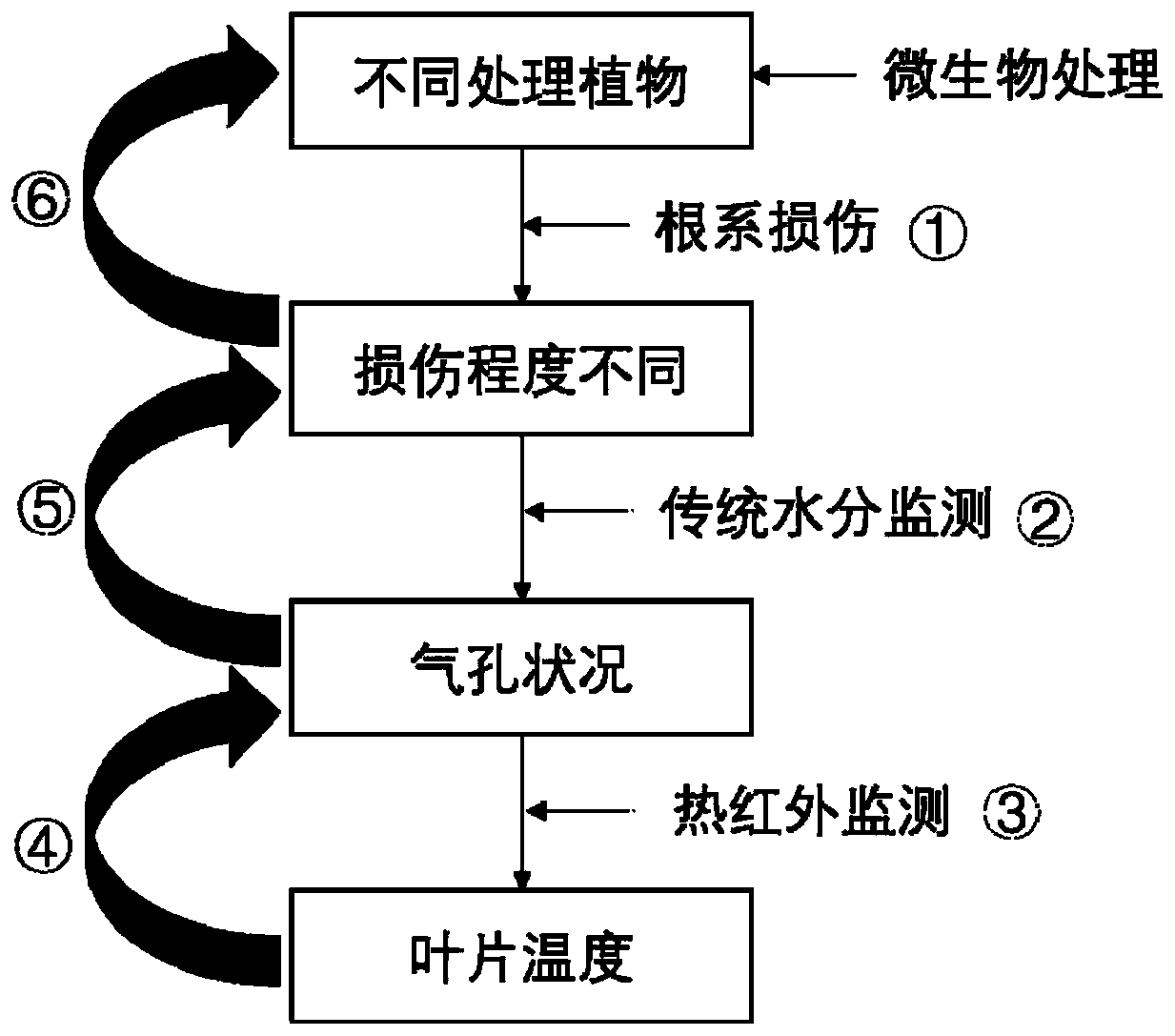 Method for monitoring bioremediation effects of plant root damage