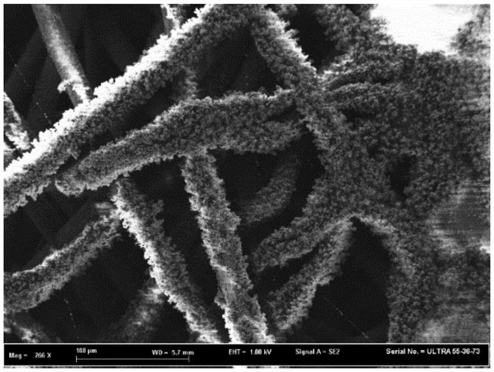 Antibacterial fiber, preparation method of antibacterial fiber and antibacterial product