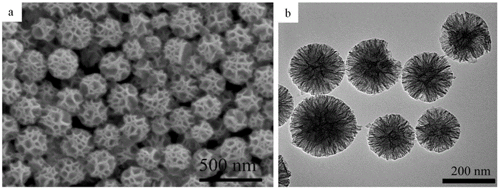 Anti-reflection super-hydrophobic self-cleaning SiO2 nano coating