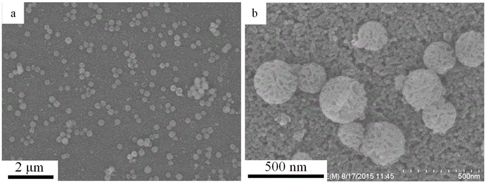 Anti-reflection super-hydrophobic self-cleaning SiO2 nano coating
