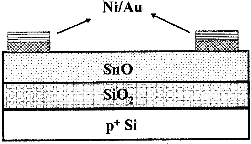 Preparing method of p-type stannous oxide ditch film transistors