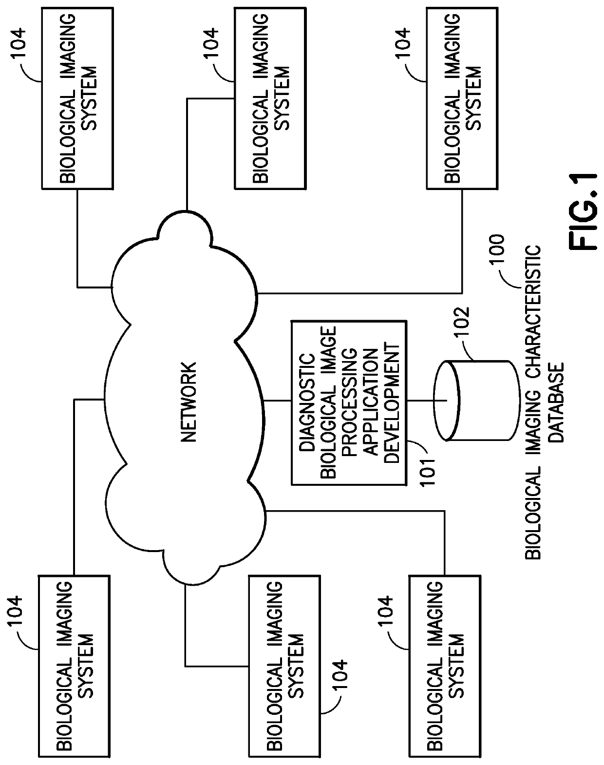 Application development environment for biological sample assessment processing