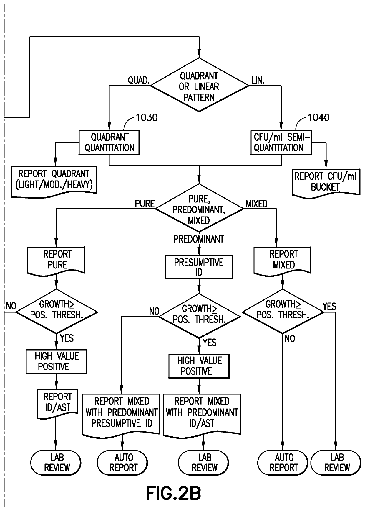 Application development environment for biological sample assessment processing