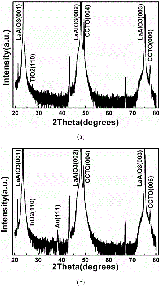 A kind of preparation method of low dielectric loss cacu3ti4o12 film