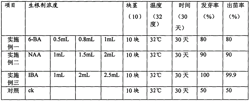 Cultivation method of nine-grade nymphaea hybrid