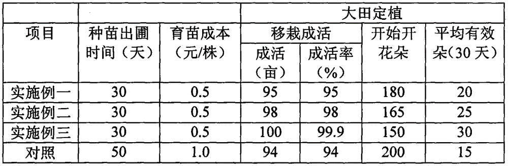 Cultivation method of nine-grade nymphaea hybrid