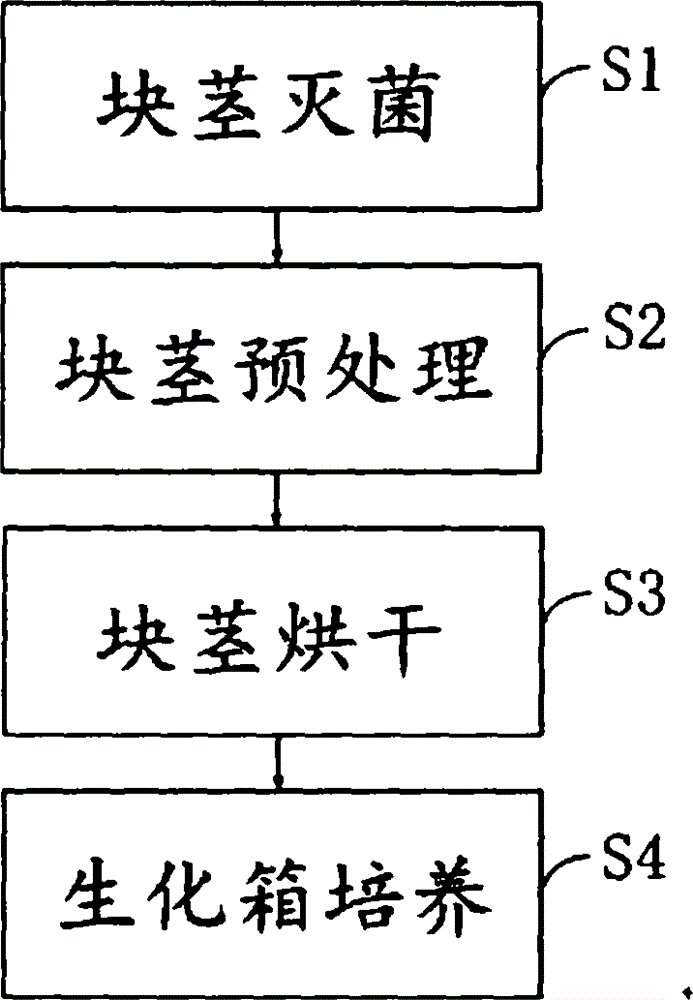 Cultivation method of nine-grade nymphaea hybrid