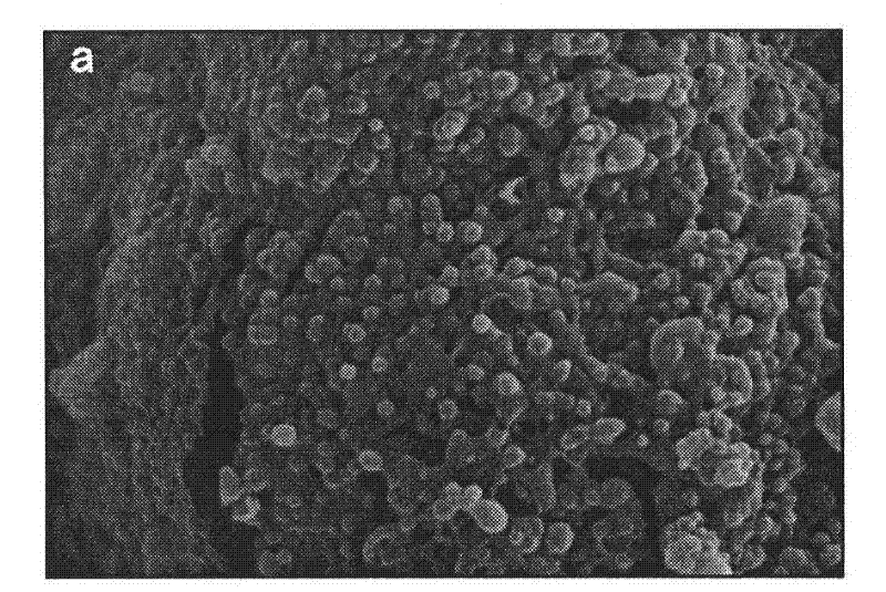 LID-PEG-PLGA controlled-release nano microsphere and preparation method thereof
