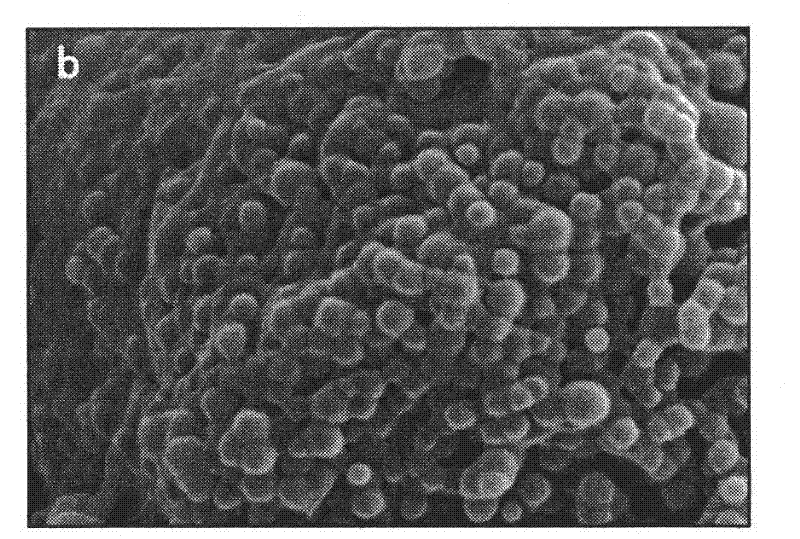 LID-PEG-PLGA controlled-release nano microsphere and preparation method thereof